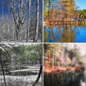 Massachusetts