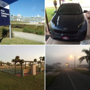 My Florida Pictures