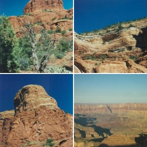 Arizona
