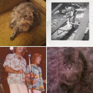 some of my favorite pictures