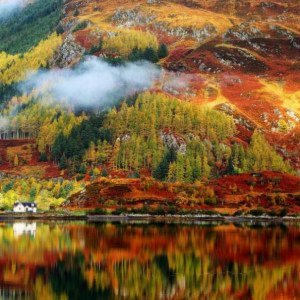 Autumn