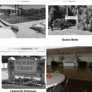 My Florida community pictures