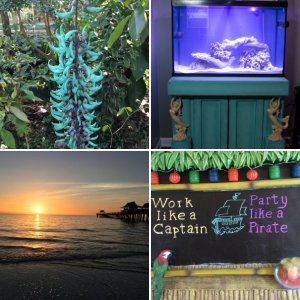 Gardenlover's Photos