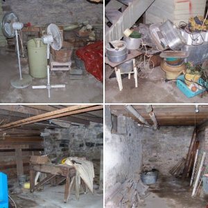 My Creepy Cellar