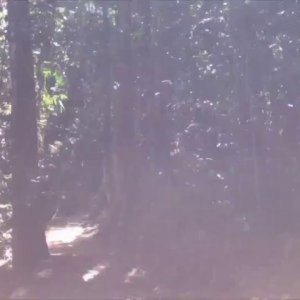 The Lazy Man's Guide to Enlightenment