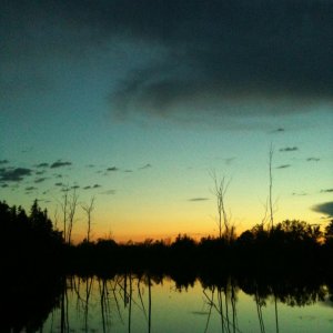 Pond