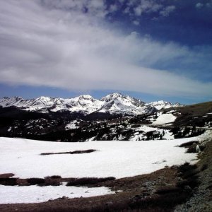 Snowy Scene