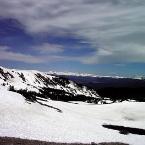 Snowy Scene