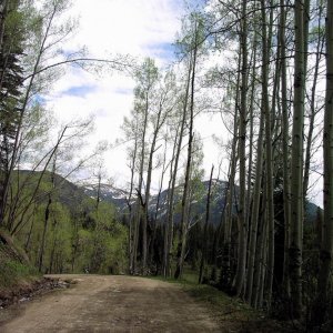 Mountain Road