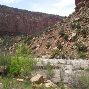 River Scene