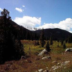 Wilderness Scene