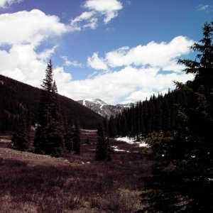 Valley and Snowy Mt.