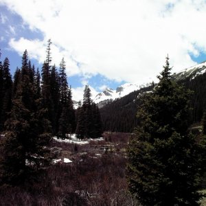 Spring Snow