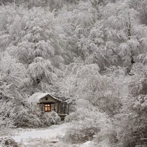 Little Lonely House For The Solitary Soul.