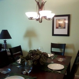 new light fixture