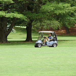 golfcart