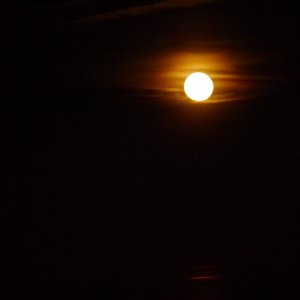 P1010416