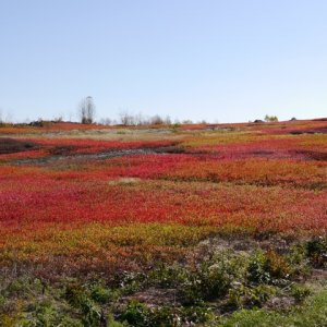 P1020357