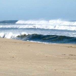 Martha's Vineyard