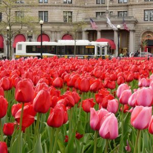 Copley Square, Boston.