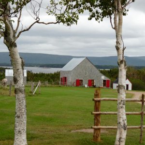 P1010047