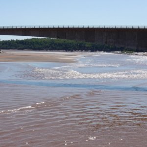 P1010187