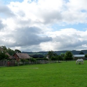 P1030730