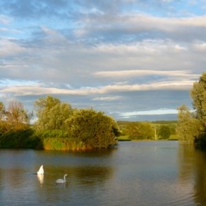 This was a small trout pond not far from a farmhouse we rented in Diddlebury in 2012.  Loved walking around here, especially in the early evening as t