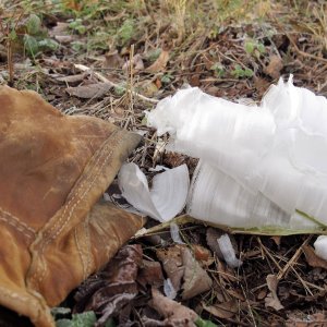 684 Frost Flower with Glove
