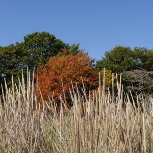 P1040155