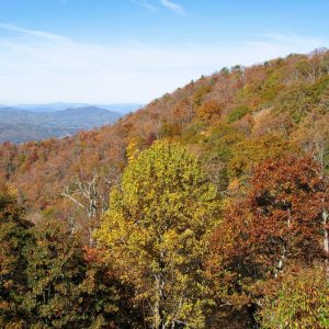 Blue Ridge Parkway in Autumn