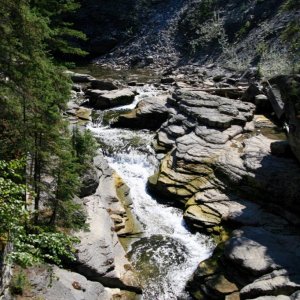 IMG 0222