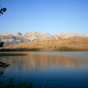 Outside Jasper in an area that had suffered a wildfire in the recent past.  Came out to shoot photos as the sun was going down.