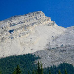 IMG 0270
