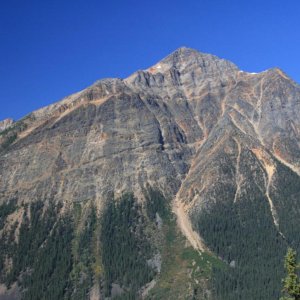 IMG 0310