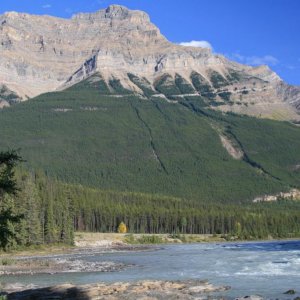 IMG 0385