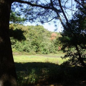 early autumn vista