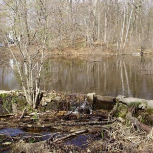 waterlogs