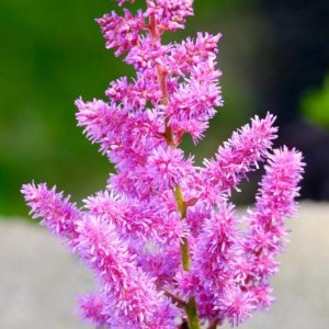 P1010773