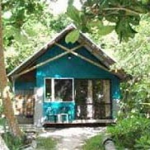 Lil Blue House