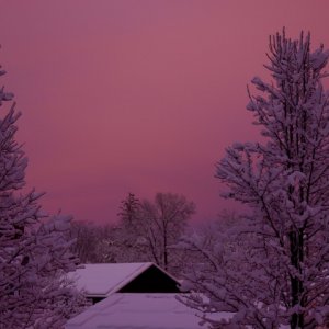 P1040332