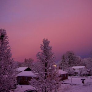P1040331