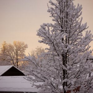 P1040322