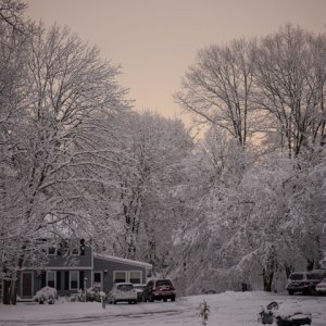 P1040321