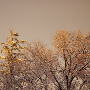 P1040317