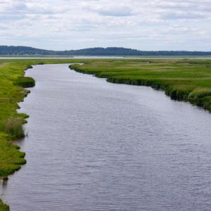 P1010691