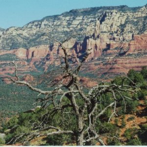 Sedona
