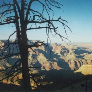 Grand Canyon2