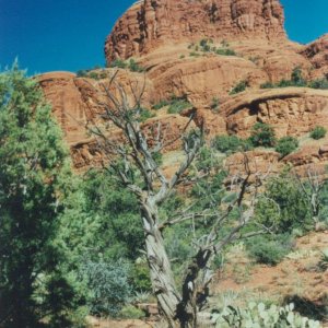 Sedona Red Rocks3