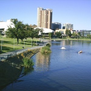 z.River Torrens. Adelaide SA